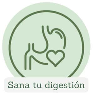 producto curso sana tu digestion